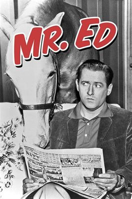 Mister Ed:  Seikkaileva puhuva hevonen ja keskinäiset väärinymmärrykset 1950-luvun Amerikassa!